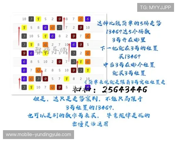 4118云顶集团电脑版游戏攻略大全，提升您的稳赢技巧与策略分析