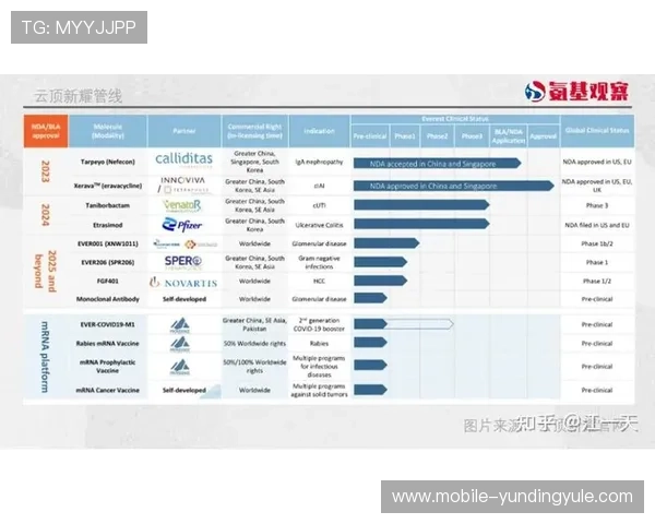 云顶新耀官网游戏最新版本介绍与玩法攻略全面解析 云顶新耀官网游戏最新版本介绍与玩法攻略全面解析