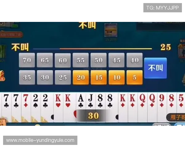 二八杠扑克规则全攻略，涵盖游戏流程、下注规则及常见误区分析